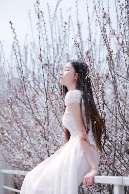 疯狂动物城电影免费观看完整版